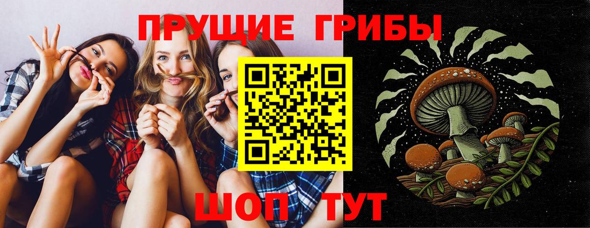 Галлюциногенные грибы Psilocybe  Вход с VPN  Калининград  Псилоцибиновые грибы мухоморы 